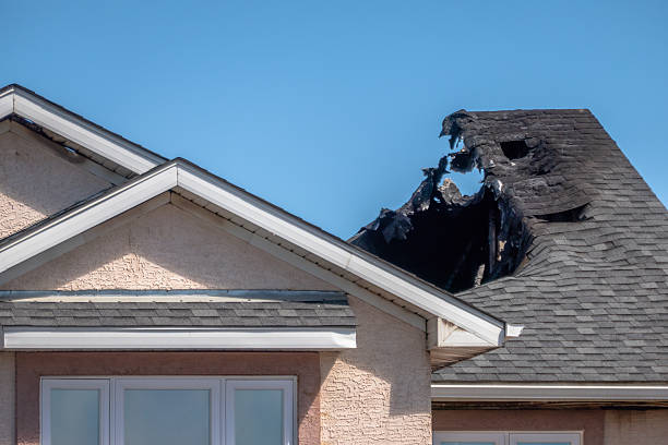 Top rated local Fire Damage Removal specialists in Sugar Land, TX